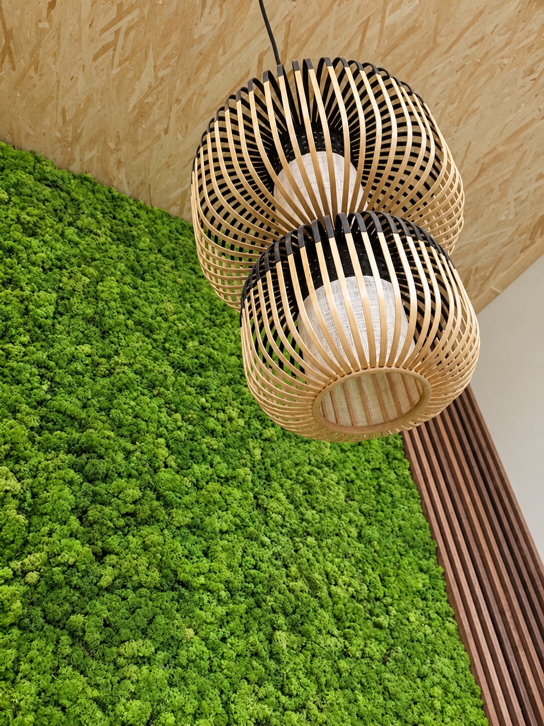 Living moss wall and sculptural pendant detail at Mor Thai